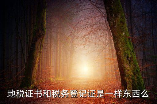 地稅登記證是什么，地方稅納稅資料封面上稅務(wù)登記證號(hào)是甚么