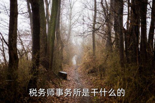 稅務(wù)師事務(wù)所 外勤是做什么的，稅務(wù)師事務(wù)所是干什么的