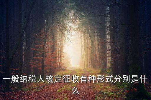 國稅函調(diào)是什么形式，國稅函調(diào)系統(tǒng)可以發(fā)起普通發(fā)票協(xié)查嗎