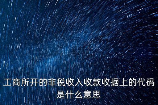 什么是地稅的非稅編號，非稅繳款借入款項(xiàng)的代碼是什么