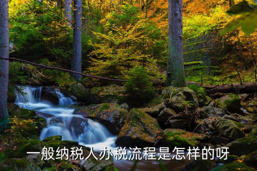 什么是正常辦稅，一般納稅人辦稅流程是怎樣的呀