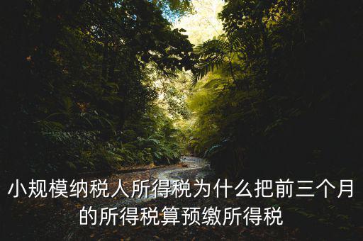 小規(guī)模納稅人所得稅為什么把前三個月的所得稅算預繳所得稅