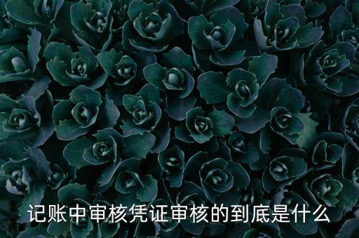 什么是抵扣憑證審核，記賬中審核憑證審核的到底是什么