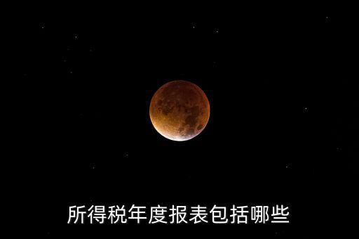 所得稅年度報(bào)表包括哪些