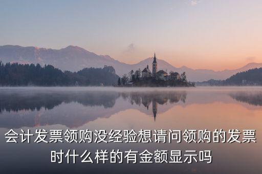發(fā)票領(lǐng)用單是什么樣的，會(huì)計(jì)發(fā)票領(lǐng)購(gòu)沒經(jīng)驗(yàn)想請(qǐng)問領(lǐng)購(gòu)的發(fā)票時(shí)什么樣的有金額顯示嗎