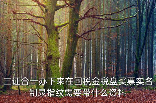 三證合一辦下來(lái)在國(guó)稅金稅盤(pán)買票實(shí)名制錄指紋需要帶什么資料