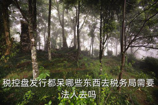 辦理稅控盤去什么地方，稅控盤發(fā)行都呆哪些東西去稅務局需要法人去嗎