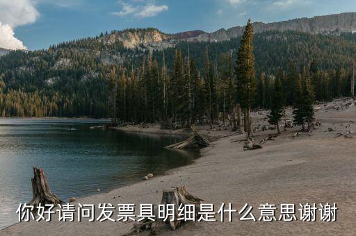 什么是個稅明細，個稅是什么是干嘛的詳細點哈