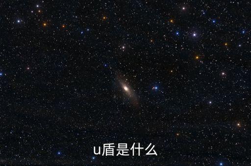 對(duì)外支付是什么，u盾是什么