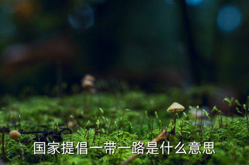 國稅一帶一路什么意思，一帶一路指什么意思