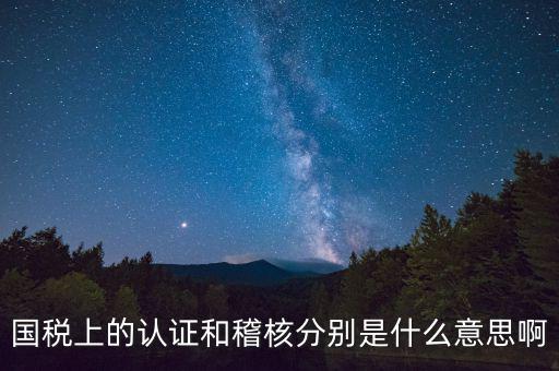國(guó)稅上的認(rèn)證和稽核分別是什么意思啊