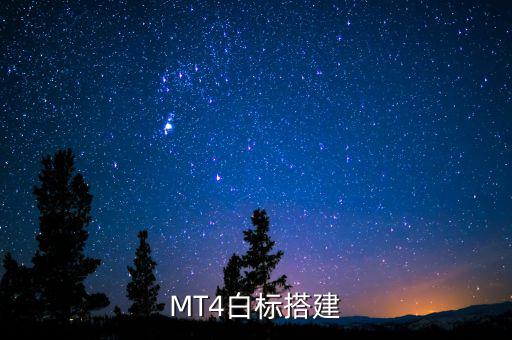稅務(wù)系統(tǒng)為什么進(jìn)行容災(zāi)建設(shè)，小微企業(yè)該購(gòu)買什么樣的服務(wù)器涉及生產(chǎn)倉(cāng)儲(chǔ)銷售和財(cái)務(wù)等  搜