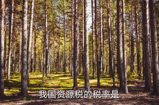 資源稅稅率是什么稅率，資源稅的計稅依據(jù)是什么稅率是多少