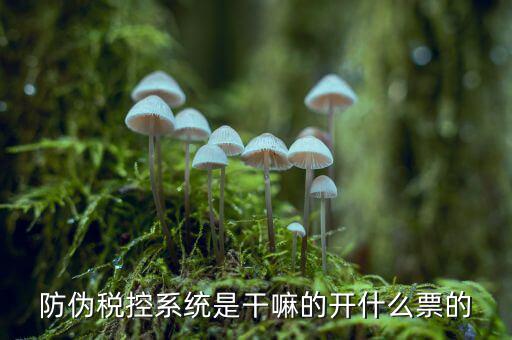 什么是稅控系統(tǒng)數(shù)據(jù)，金稅盤(pán)是什么