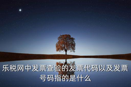 樂(lè)稅網(wǎng)中發(fā)票查驗(yàn)的發(fā)票代碼以及發(fā)票號(hào)碼指的是什么