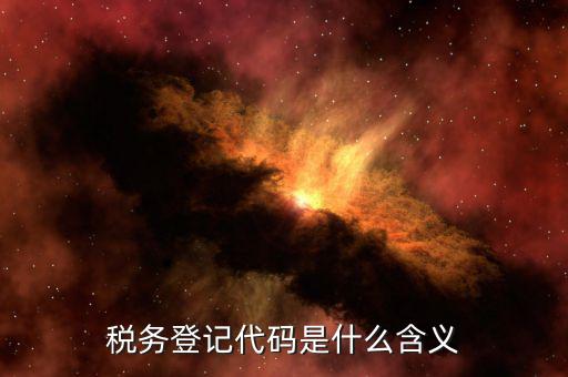 稅務登記代碼是什么含義