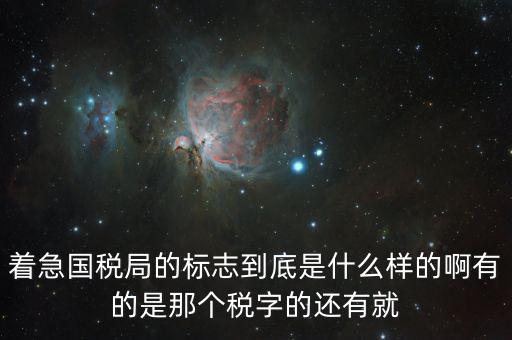稅優(yōu)識別碼是什么樣的，納稅人辨認號和代碼是1樣的