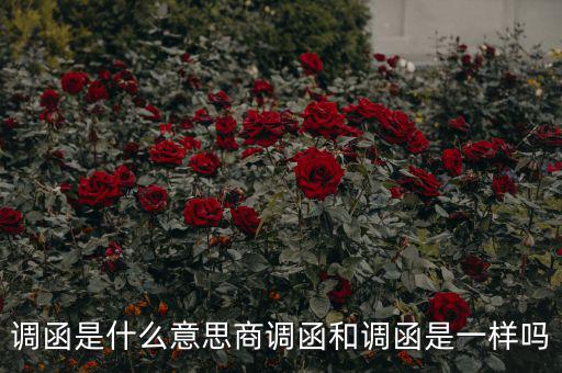 國稅調(diào)函是什么意思，國稅要來函條是怎么回事啊