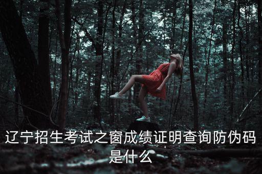 成績證明查詢的防偽碼是什么，遼寧成人高考成績查詢的防偽碼是多少