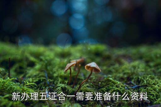 稅務(wù)五證合一需要什么資料，五證合一后稅務(wù)變更需要什么資料