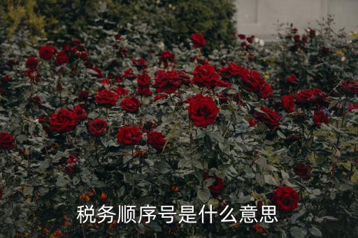 成都稅務號是什么意思，四川省國稅編號開頭幾位數(shù)是什么