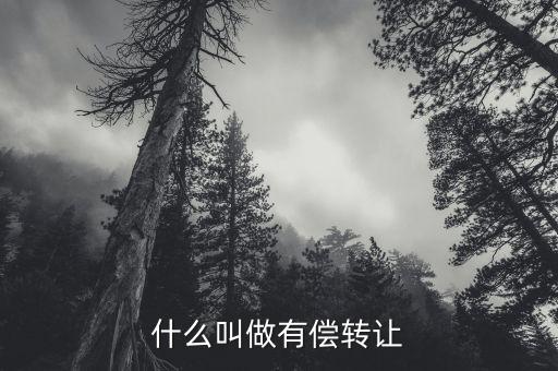 有償轉(zhuǎn)移安置什么意思，有償轉(zhuǎn)發(fā)什么意思