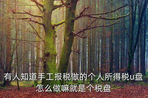 繳個稅用什么盤申報，個人所得稅報盤怎么弄