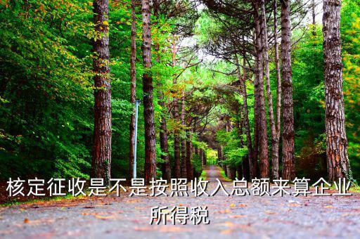 核定征收是按什么征收，什么是核定征收