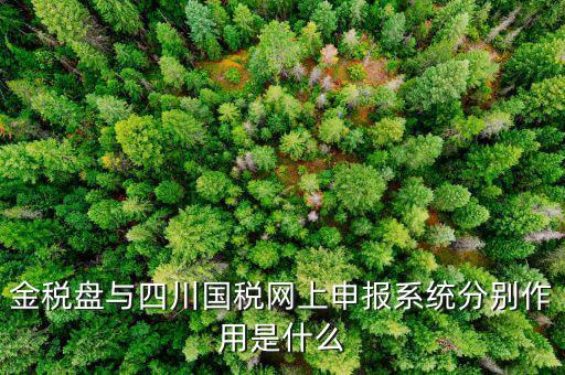 金稅盤(pán)的作用是什么，請(qǐng)問(wèn)現(xiàn)在國(guó)稅局換的金稅盤(pán)主要的作用是什么