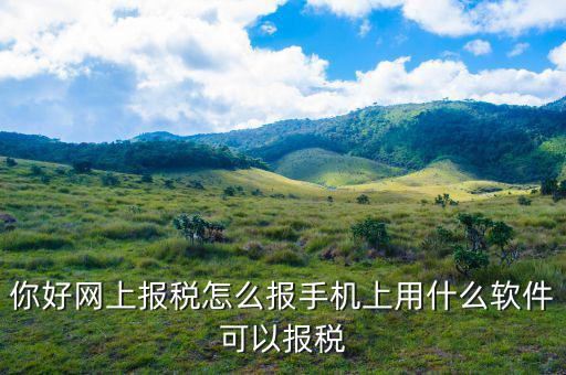 國稅保稅需要下載什么，你好網(wǎng)上報稅怎么報手機(jī)上用什么軟件可以報稅