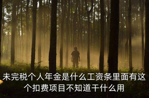 個(gè)稅年金是什么，未完稅個(gè)人年金是什么工資條里面有這個(gè)扣費(fèi)項(xiàng)目不知道干什么用