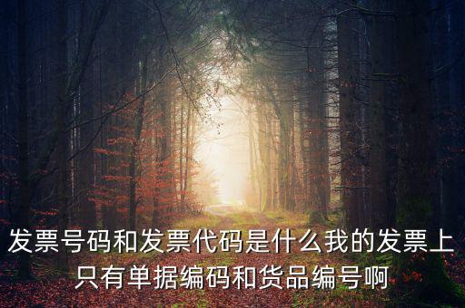 發(fā)票代碼指什么地方，增值稅普通發(fā)票的12位發(fā)票代碼在什么位置