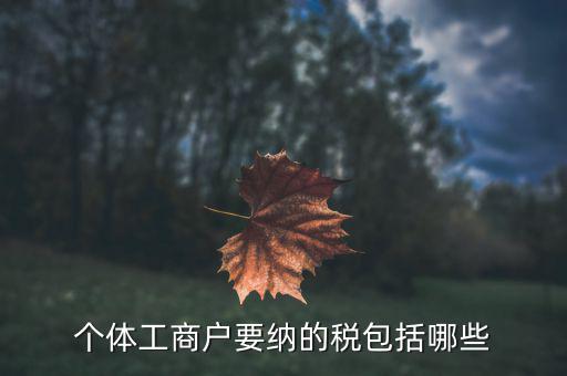 個體需要繳納什么稅，個體工商戶需要交哪些稅