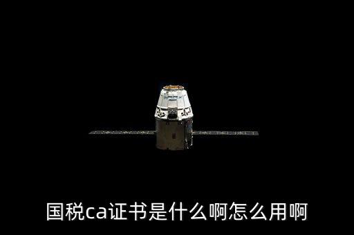 國稅的ca證書是什么意思，CA證書是什么東西包括pfx cert么