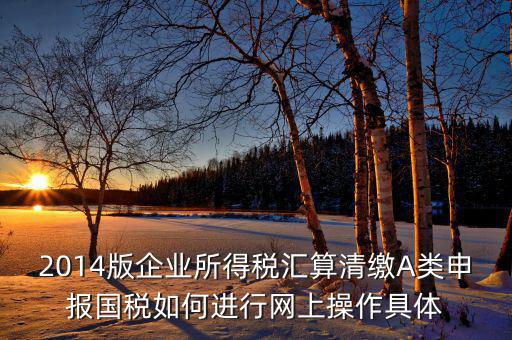 2014版企業(yè)所得稅匯算清繳A類申報(bào)國(guó)稅如何進(jìn)行網(wǎng)上操作具體