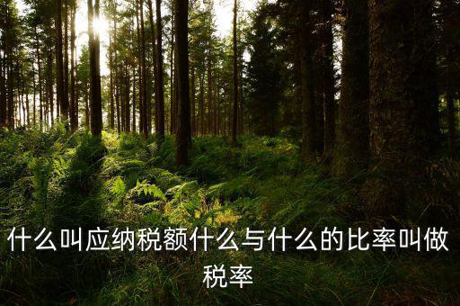 什么叫應(yīng)用稅額，各種收入等于應(yīng)用稅額除以什么