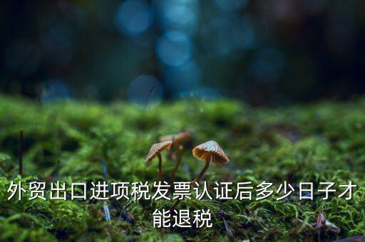 什么時候可以退稅，退稅是按進項發(fā)票認證的時間來退稅的