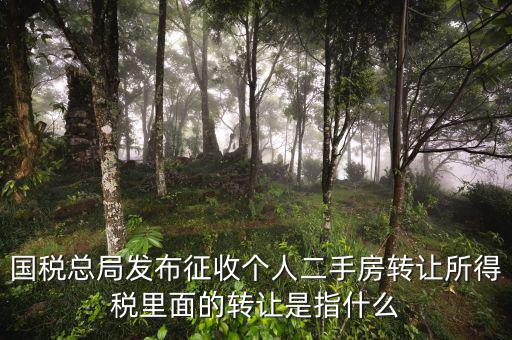 稅收轉讓是什么，國稅總局發(fā)布征收個人二手房轉讓所得稅里面的轉讓是指什么