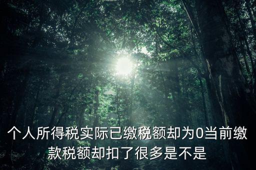 實繳稅額為什么是0，當期的實交增值稅額為0是否進行城建稅的申報什么意思可以不用申報
