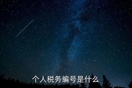 個人的稅收編號是什么，個人所得稅里面的注冊編碼是什么