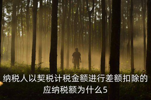為什么 契稅 差額計稅，最新房產(chǎn)稅費