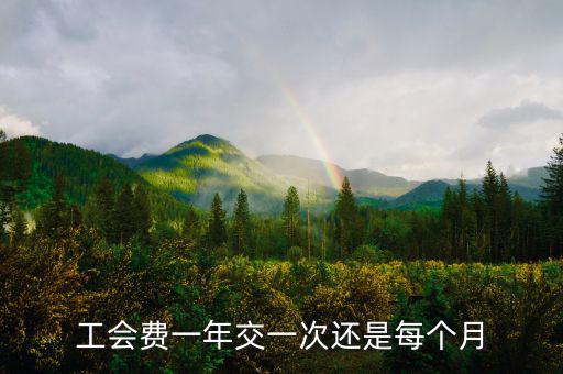 工會費(fèi)一年交一次還是每個(gè)月
