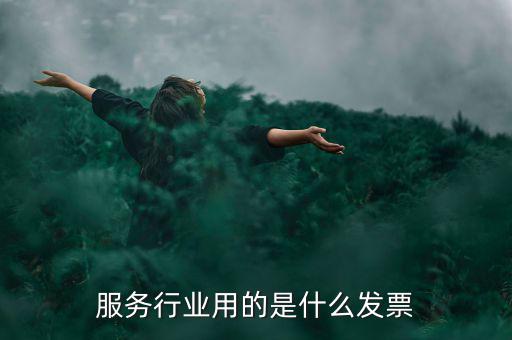 服務(wù)業(yè)發(fā)票是什么發(fā)票，服務(wù)發(fā)票是不是普通發(fā)票的一種