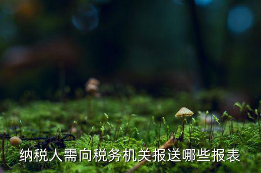 納稅人需向稅務機關報送哪些報表