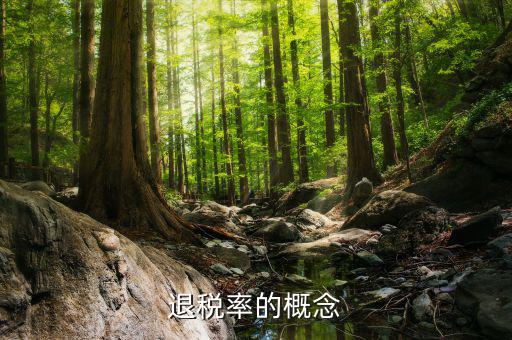 出口退稅率是什么意思，出口退稅率是什么意思啊什么樣的人要交呢