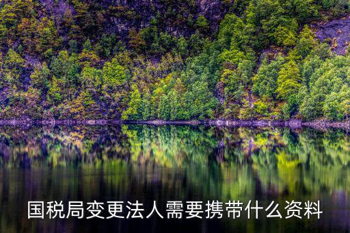 稅務(wù)變更法人需要什么資料，國稅局變更法人需要攜帶什么資料