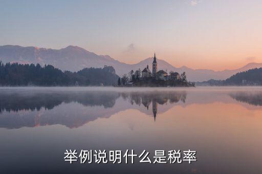 稅率說明是什么意思，稅率是什么意思