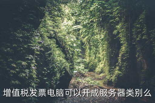 增值稅發(fā)票電腦可以開(kāi)成服務(wù)器類別么
