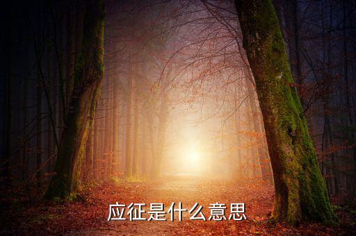 應(yīng)征發(fā)生日期什么意思，應(yīng)征的意思