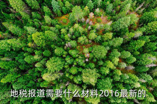 地稅報(bào)道需要什么，地稅報(bào)稅需要什么資料
